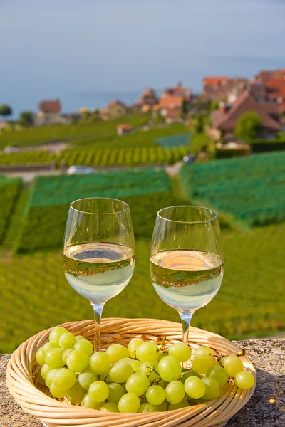 Lavaux region center of the vine production in Switzerland