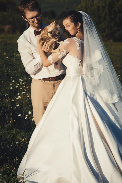 Wedding couple with cat