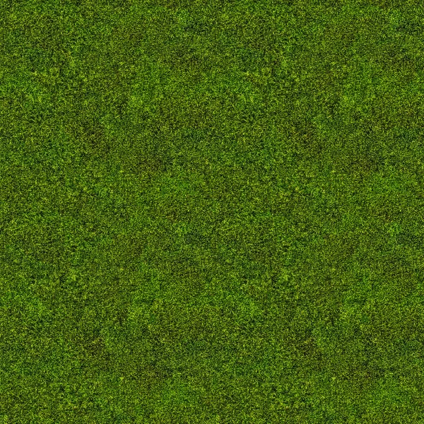 Green moss background