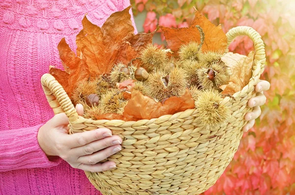 Autumn chestnuts and leaves in the basket