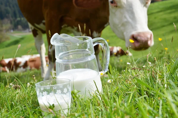 Milk and cows at Switzerland