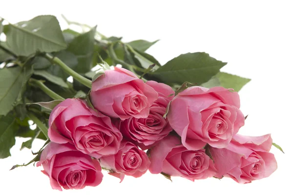 Bouquet of pink roses on a white background. Isolation.