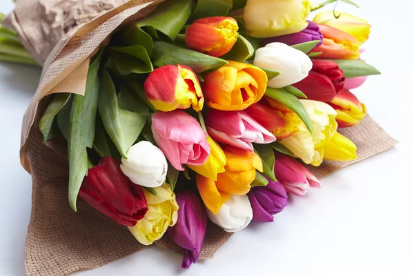 Colorful tulips bunch