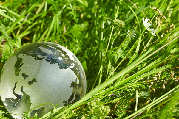 Glass globe in the grass