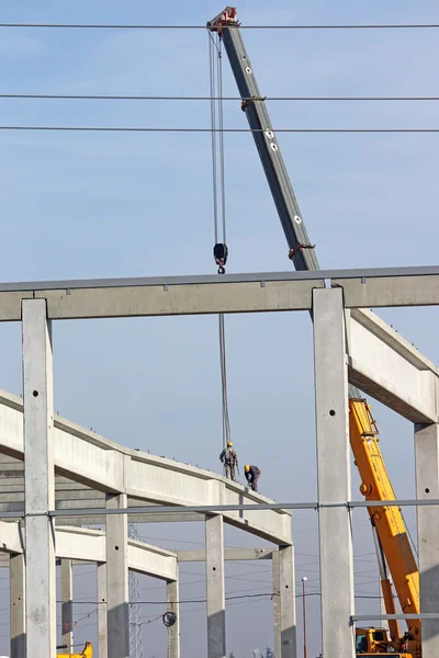 Workers and crane on construction site