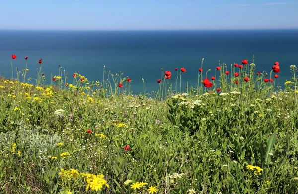 Kuban landscape of Russia