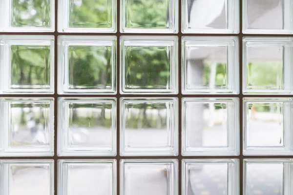 Outdoor view through glass bricks.