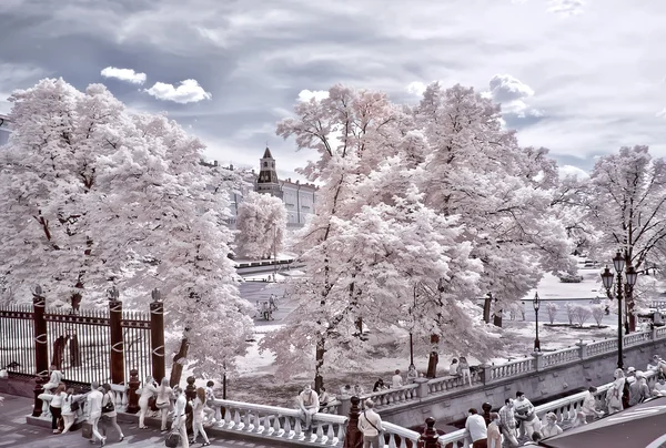 Moscow. Alexander Garden and Kremlin. Infrared photo