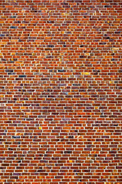 Colorful brick Wall
