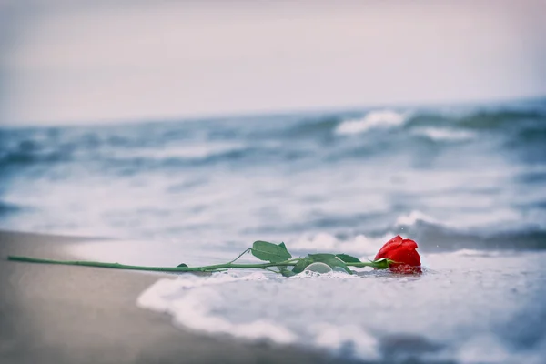 Waves washing away a red rose