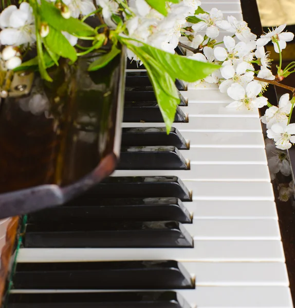 The blossoming cherry on a piano