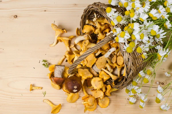 Basket of mushrooms and bouquet of camomiles