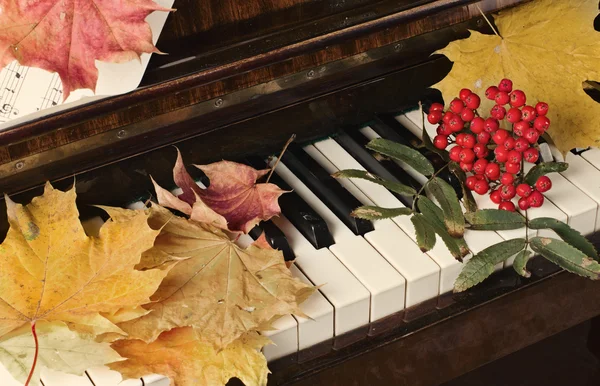 Maple leaves on a piano