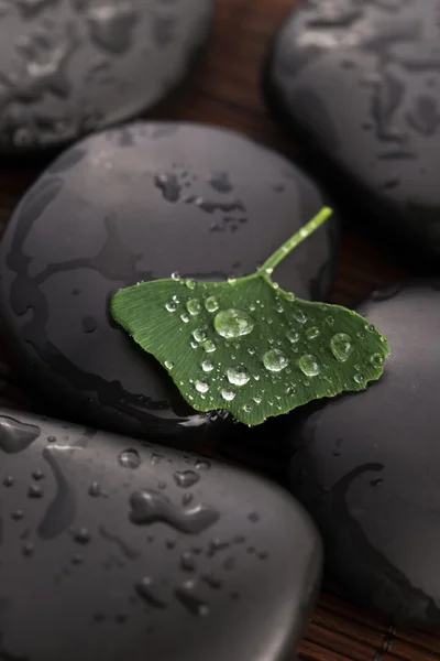Zen stones and ginko biloba leaves with water drops