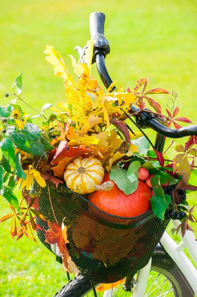 Bicycle with a basket full of pumpkins and autumnal leaves