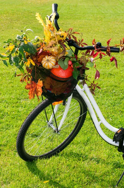 Bicycle with a basket full of pumpkins and autumnal leaves