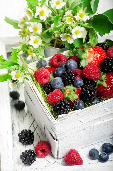 Berry Mix in basket