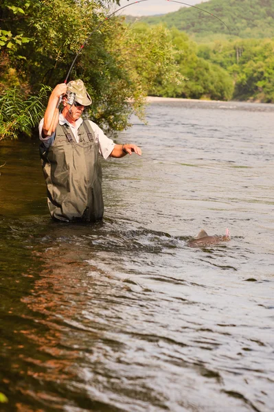 Joyful fisherman catches of salmon on the mountain river