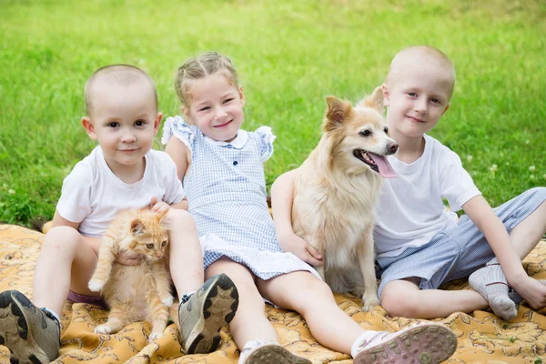 Sister and brothers with a dog and a cat