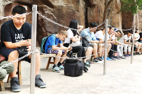 People queued to visit attraction in Happy Valley Beijing