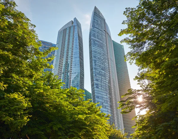 Green trees and Skyscrapers in central business district of Sing