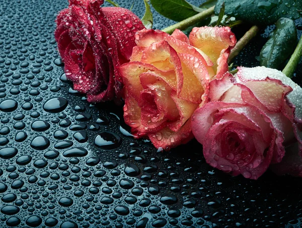 Three roses on black wet background with waterdrops