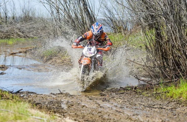 Enduro motorcycle rides through the mud with a big splash