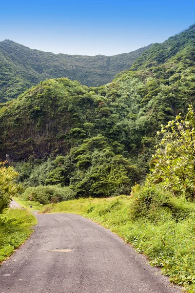 Tahiti. The road in mountains. Tropical nature.