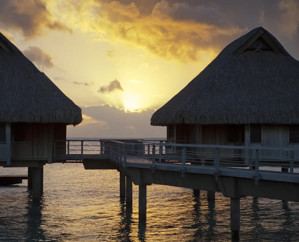 Island in ocean, overwater villas at the time sunset.
