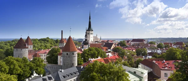 City panorama from an observation deck of Old city\'s roofs. Tallinn. Estonia