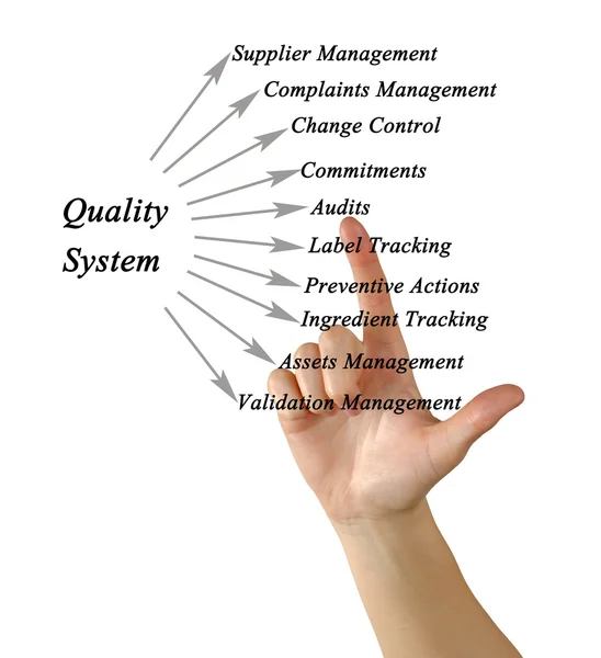 Diagram of Quality System