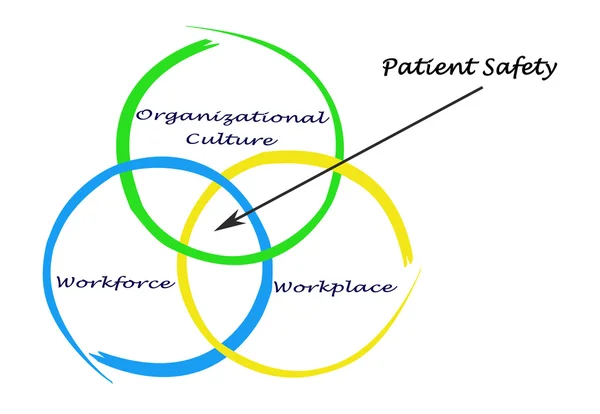 Diagram of patient safety