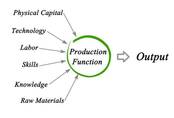 Diagram of Production Function