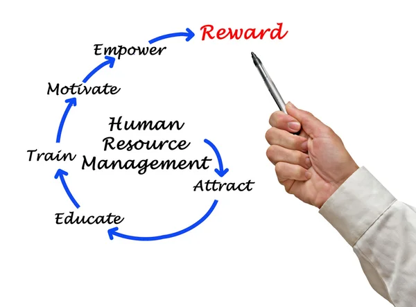 Diagram of human resource management