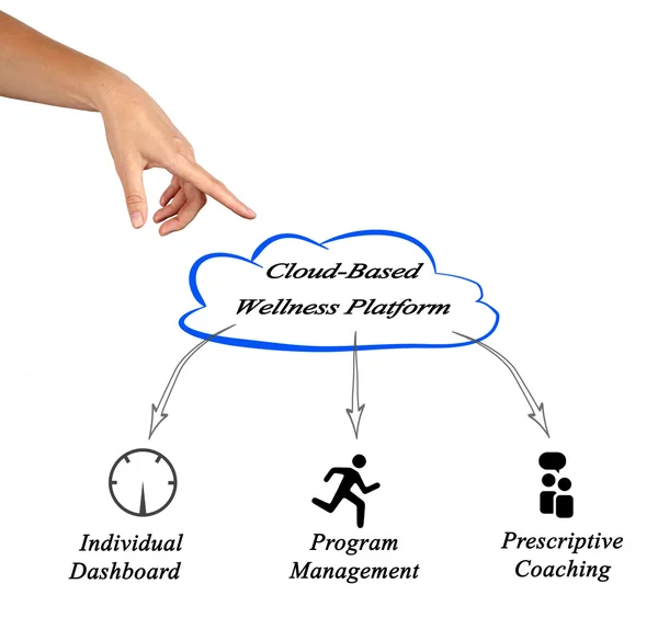 Diagram of Cloud Based Wellness