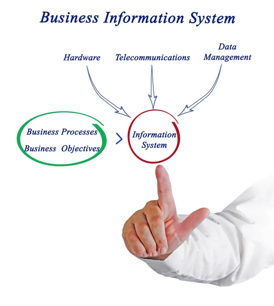 Diagram of Business Information System