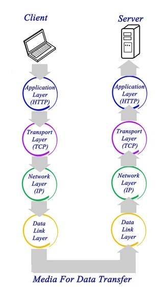 Diagram of internet protocol