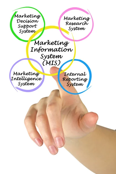 Components of Marketing Information System (MIS)