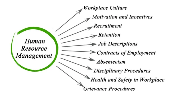 Diagram of Human Resource Management