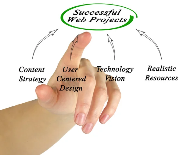 Diagram of Successful Web Projects