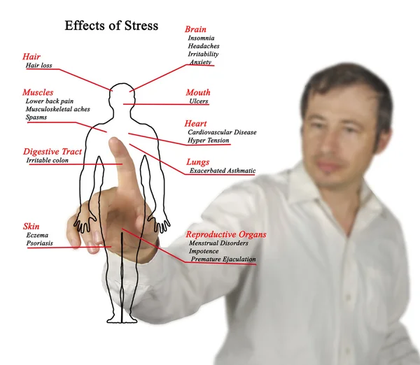 Presentation of Effects of Stress