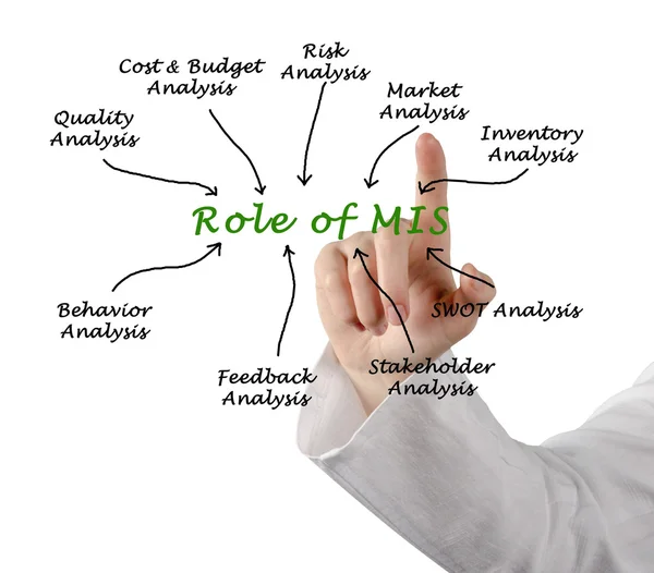 Presentation of Roles of MIS