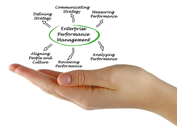 Diagram of Enterprise Performance Management