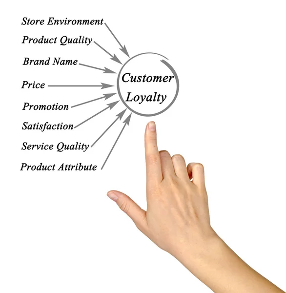 Diagram of Customer Loyalty