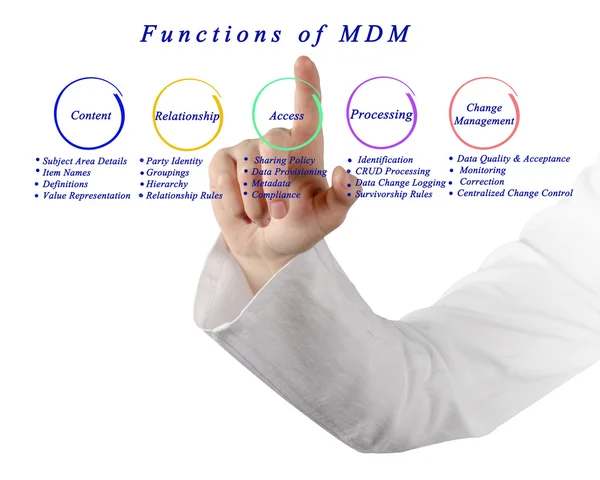Functions of master data management