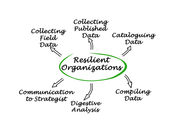 Diagram of Resilient Organizations