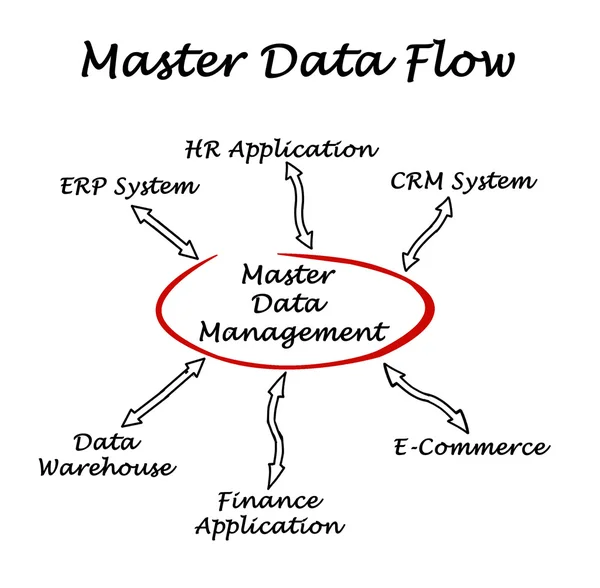 Diagram of Master Data Flow