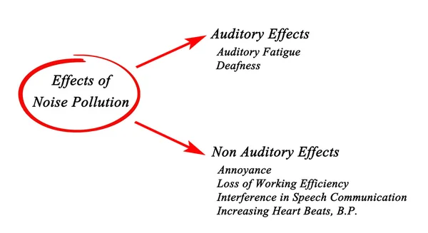 Diagram of Effects of Noise Pollution