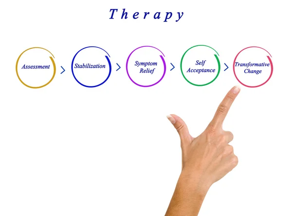 Presentation of Diagram of Therapy