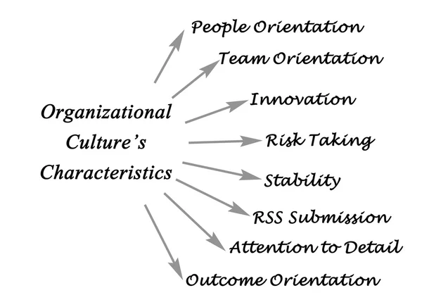 Characteristics of Organizational Culture